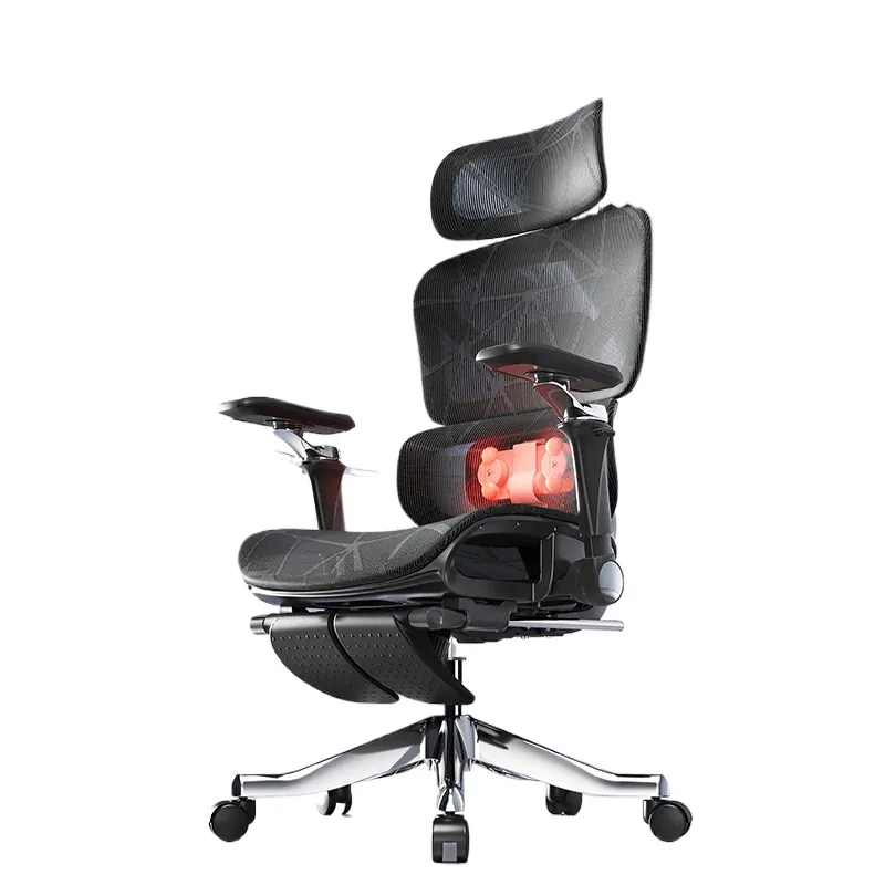 Ergonomic Massage Lumbar Suppo - Massage ulasan dan harga